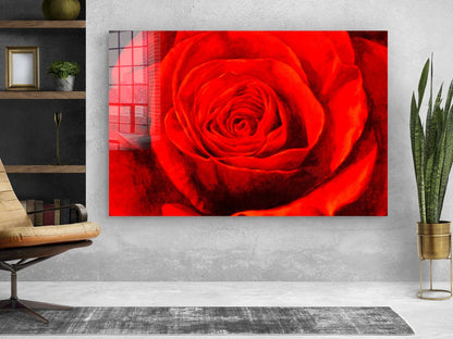 Red Rose Closeup View UV Direct Aluminum Print Australian Made Quality