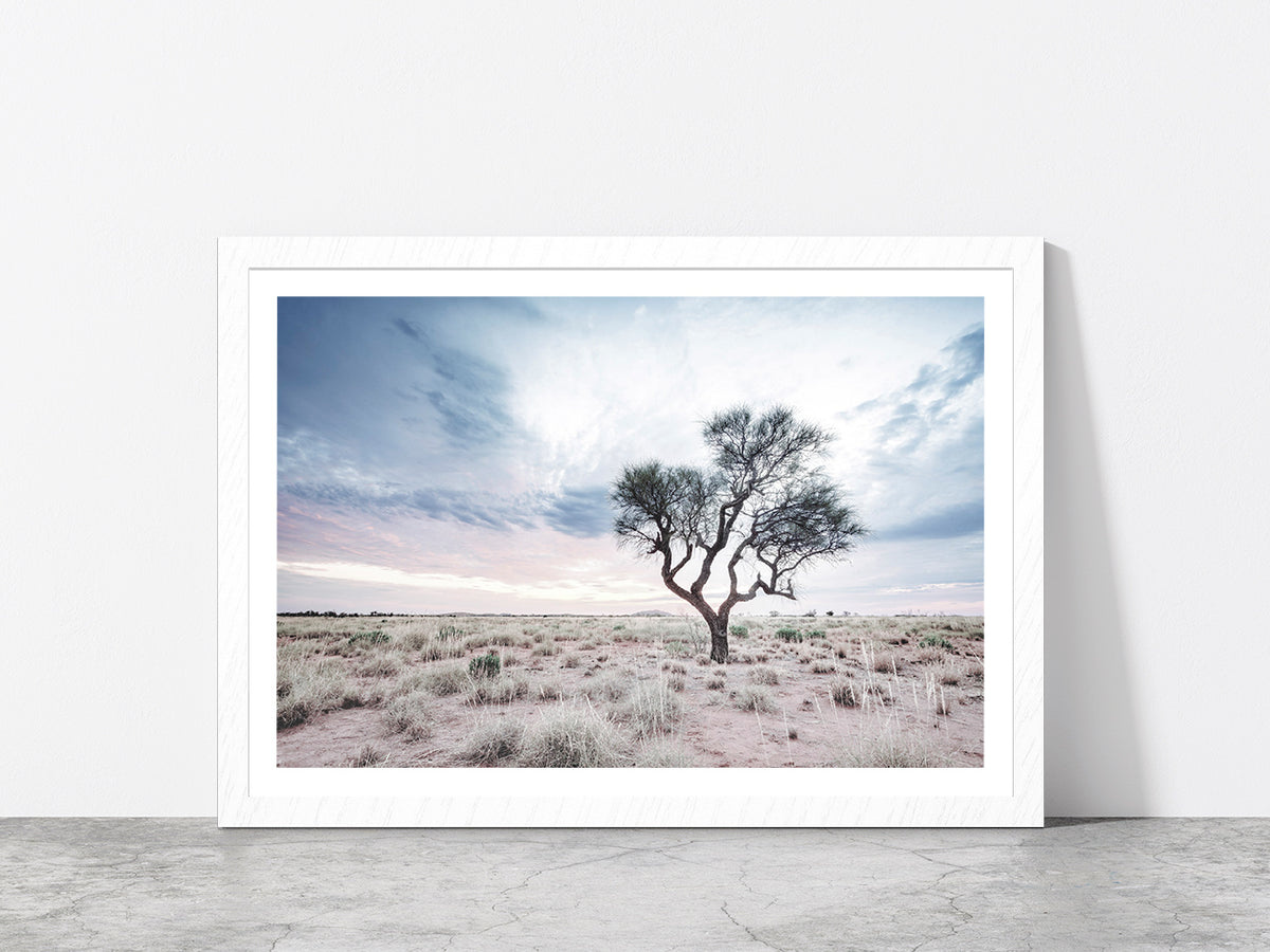 Dead Tree on Landscape & Cloudy Sky Photograph Glass Framed Wall Art, Ready to Hang Quality Print With White Border White