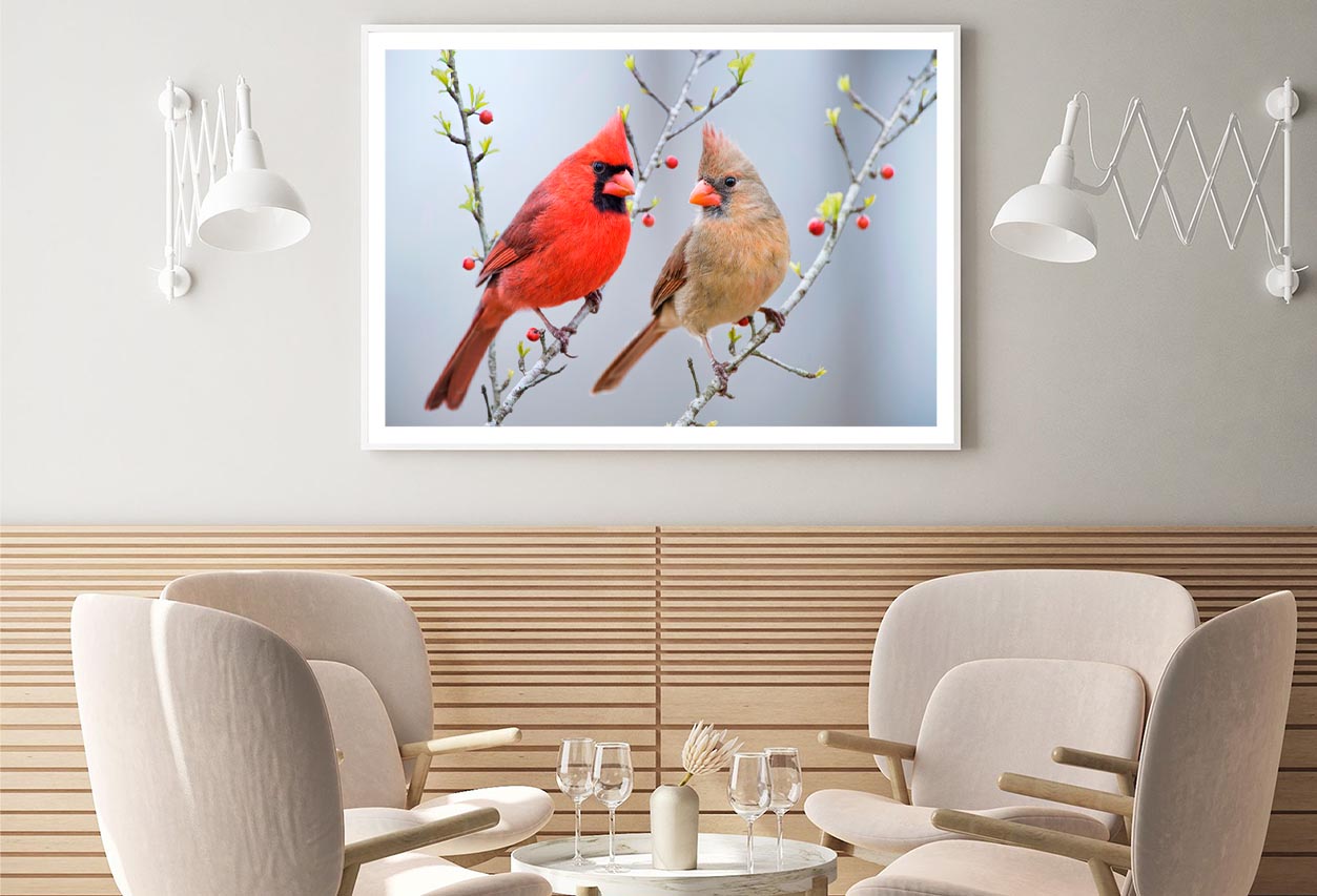 Red Bird or Northern Cardinal Mates Perched on Holly Branches Home Decor Premium Quality Poster Print Choose Your Sizes