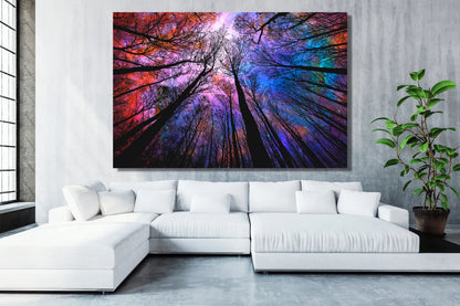 Tree Canopy Night Sky UV Direct Aluminum Print Australian Made Quality