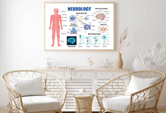 Neurology And Human Brain Set Illustration Home Decor Premium Quality Poster Print Choose Your Sizes