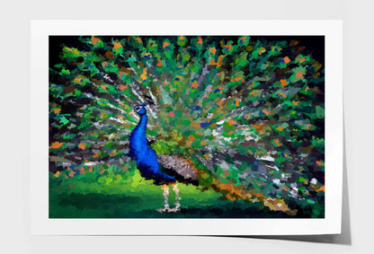 Beautiful Multicolored Peacock Wall Art Limited Edition High Quality Print