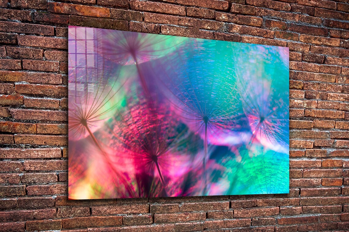 Dandelion Abstract UV Direct Aluminum Print Australian Made Quality