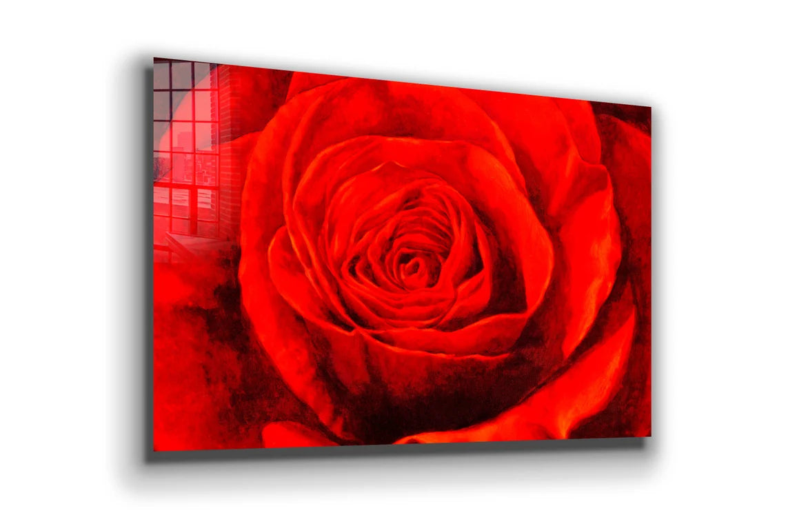 Red Rose Closeup View UV Direct Aluminum Print Australian Made Quality