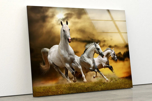 Running Horses Sunset UV Direct Aluminum Print Australian Made Quality