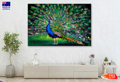 Beautiful Multicolored Peacock Wall Art Limited Edition High Quality Print