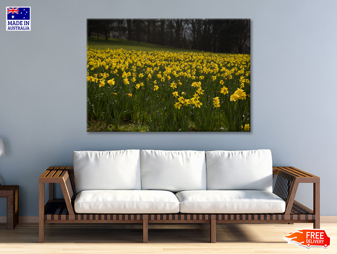 A Field Of Yellow Flowers in a Meadow during spring Print 100% Australian Made