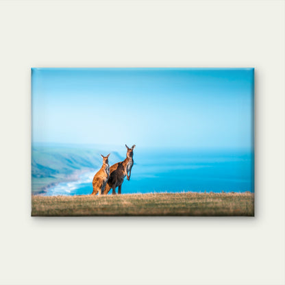 Kangaroos Coastal Australia Wall Art Decor 100% Australian Made