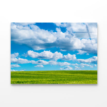 Naturlandschaft with Beautiful Blue Sky Acrylic Glass Print Tempered Glass Wall Art 100% Made in Australia Ready to Hang