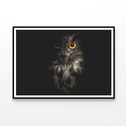 Eurasian Eagle - Owl with Black Home Decor Premium Quality Poster Print Choose Your Sizes