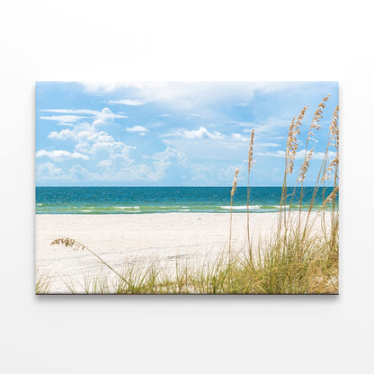 St. Pete beach in Florida, USA Wall Art Decor 100% Australian Made