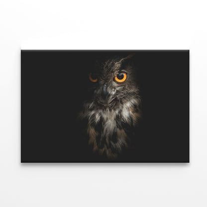 Eurasian Eagle - Owl with Black Print 100% Australian Made