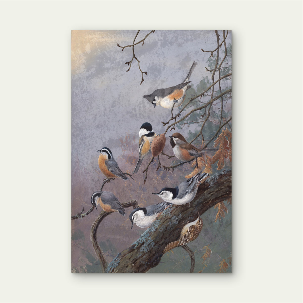 Winter Birds Wildlife Painting 40x60cm Metal Print Ready to Hang