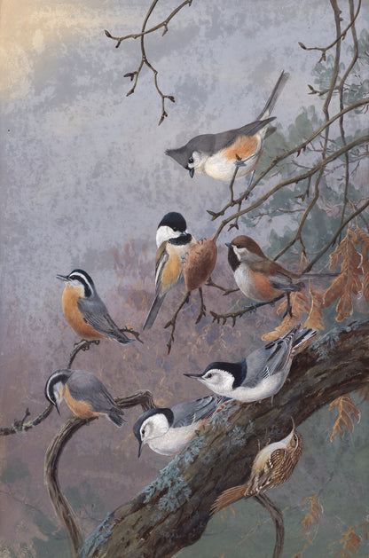 Winter Birds Wildlife Painting 40x60cm Metal Print Ready to Hang