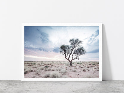 Dead Tree on Landscape & Cloudy Sky Photograph Glass Framed Wall Art, Ready to Hang Quality Print Without White Border White