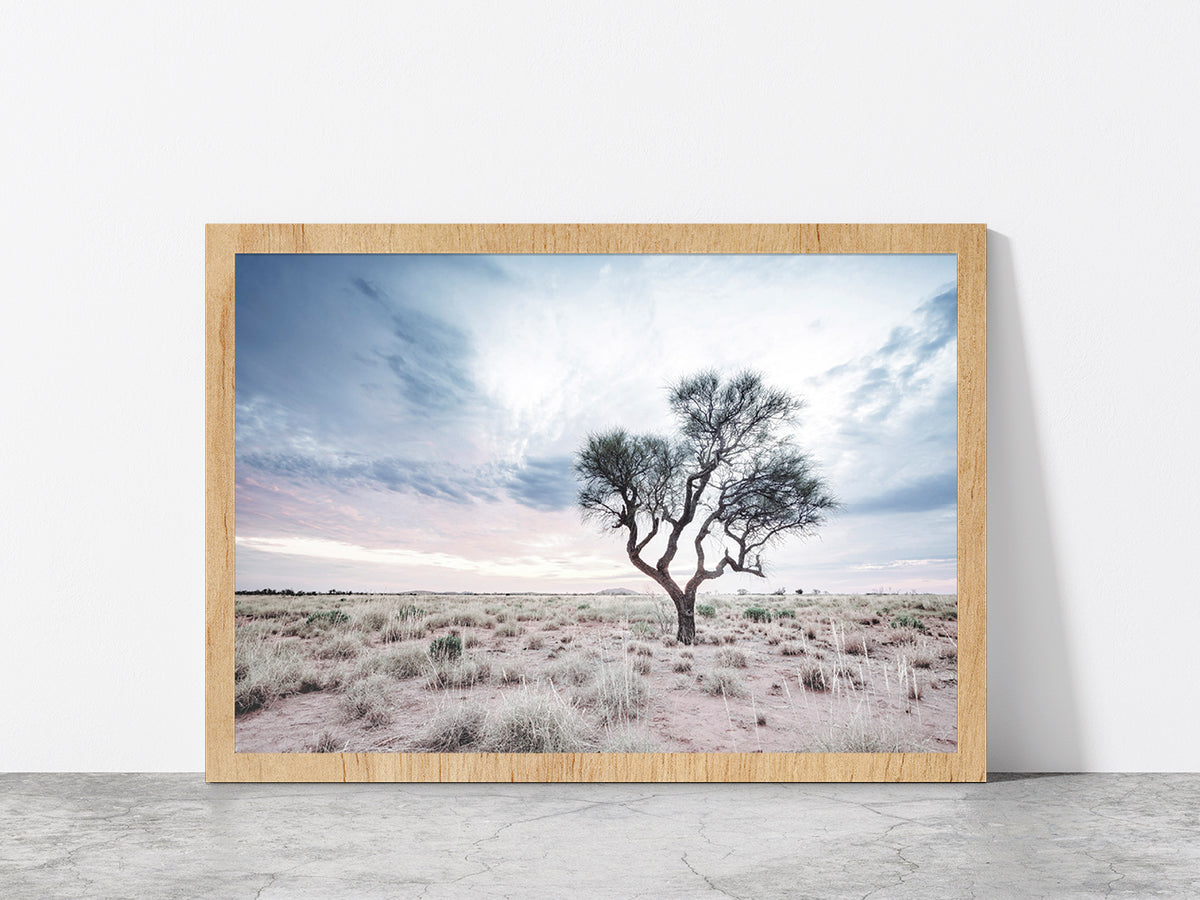 Dead Tree on Landscape & Cloudy Sky Photograph Glass Framed Wall Art, Ready to Hang Quality Print Without White Border Oak