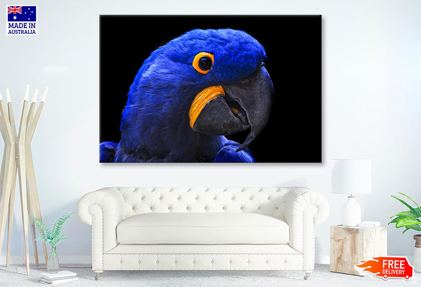 Close-Up Of a Parrot Head with Black Background Wall Art Decor 100% Australian Made