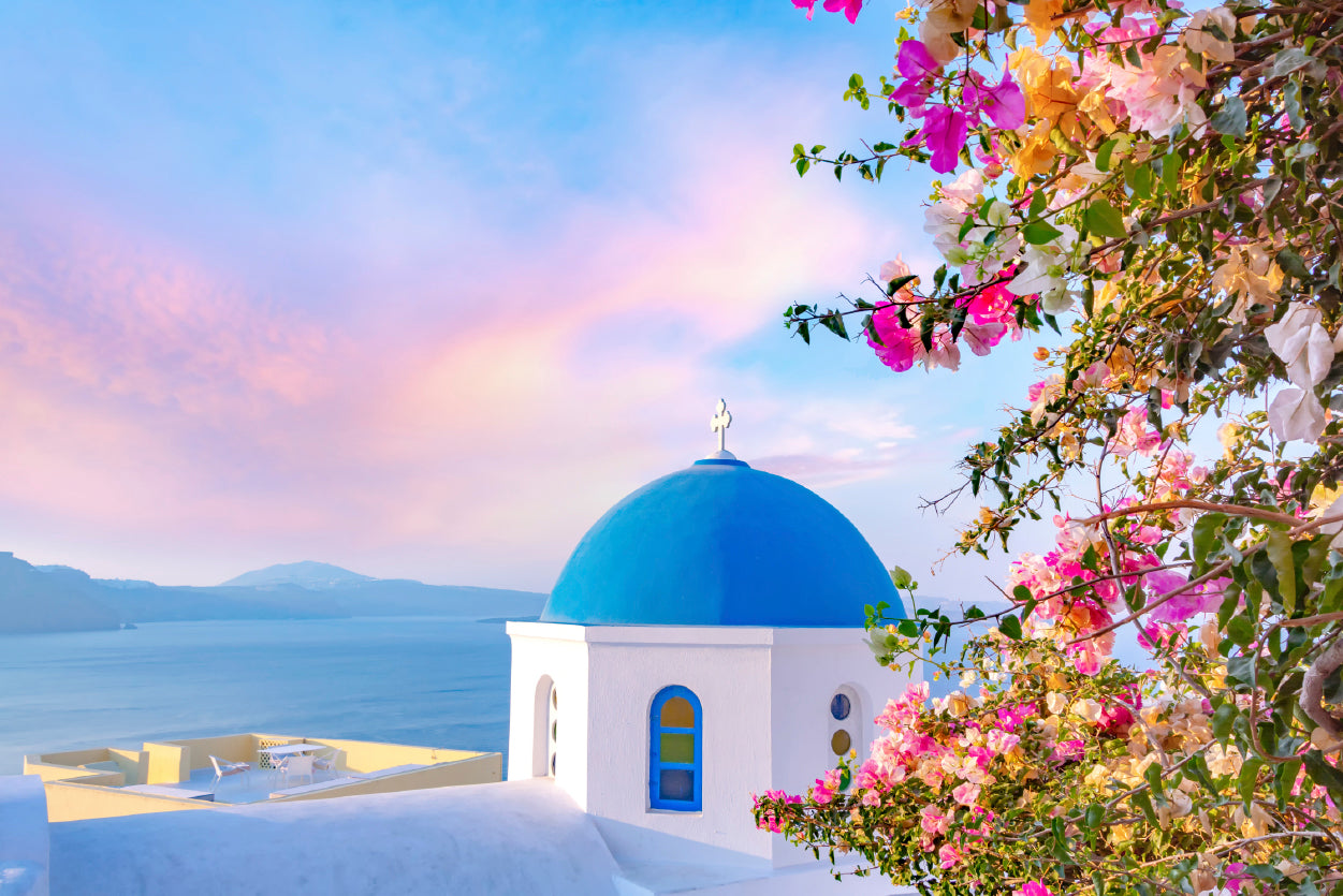 Bougainvillea Tree in Santorini Home Decor Premium Quality Poster Print Choose Your Sizes