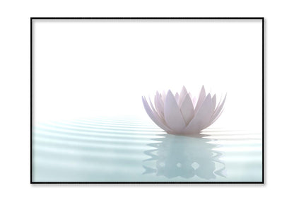 White Lotus Flower on Water Home Decor Premium Quality Poster Print Choose Your Sizes