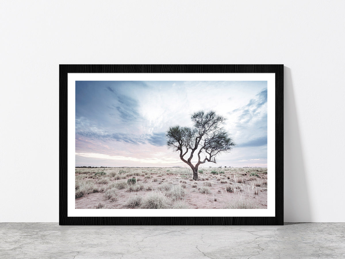 Dead Tree on Landscape & Cloudy Sky Photograph Glass Framed Wall Art, Ready to Hang Quality Print With White Border Black