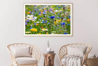 Beautiful Flowering Meadows View Home Decor Premium Quality Poster Print Choose Your Sizes