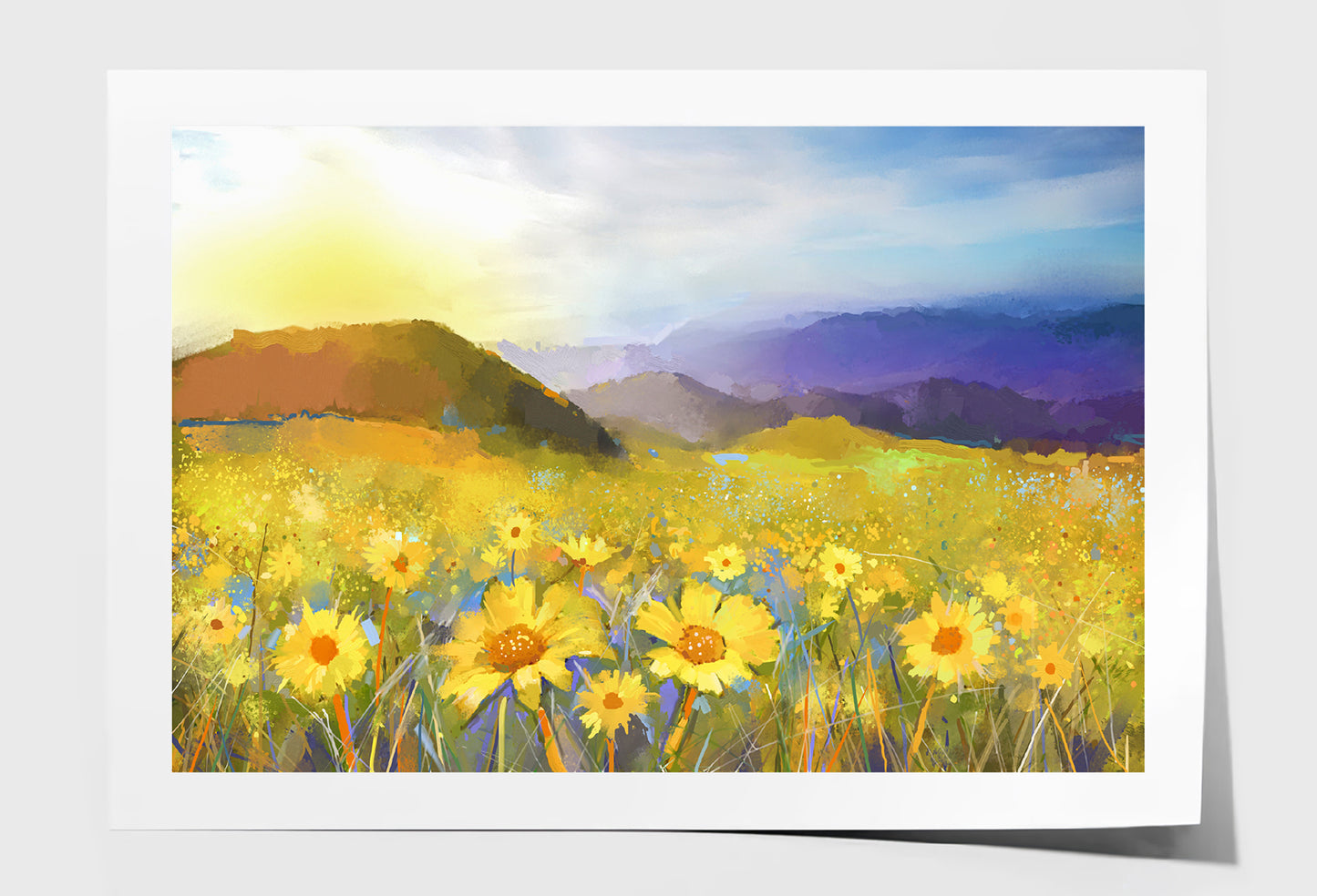 Daisy Flower Blossom, Warm Light Of The Sunset & Hill Oil Painting Limited Edition High Quality Print Unframed Roll Canvas None
