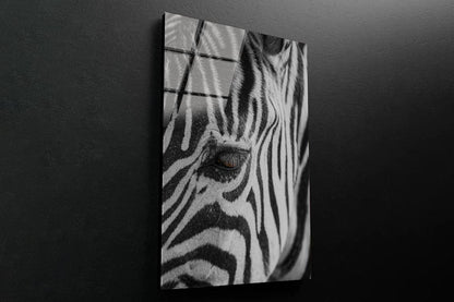 B&W Zebra 3D Design Acrylic Glass Print Tempered Glass Wall Art 100% Made in Australia Ready to Hang