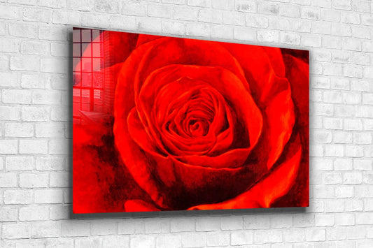 Red Rose Closeup View UV Direct Aluminum Print Australian Made Quality