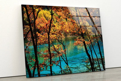 Lake & Autumn Forest UV Direct Aluminum Print Australian Made Quality