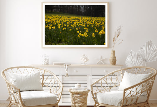 A Field Of Yellow Flowers in a Meadow during spring Home Decor Premium Quality Poster Print Choose Your Sizes