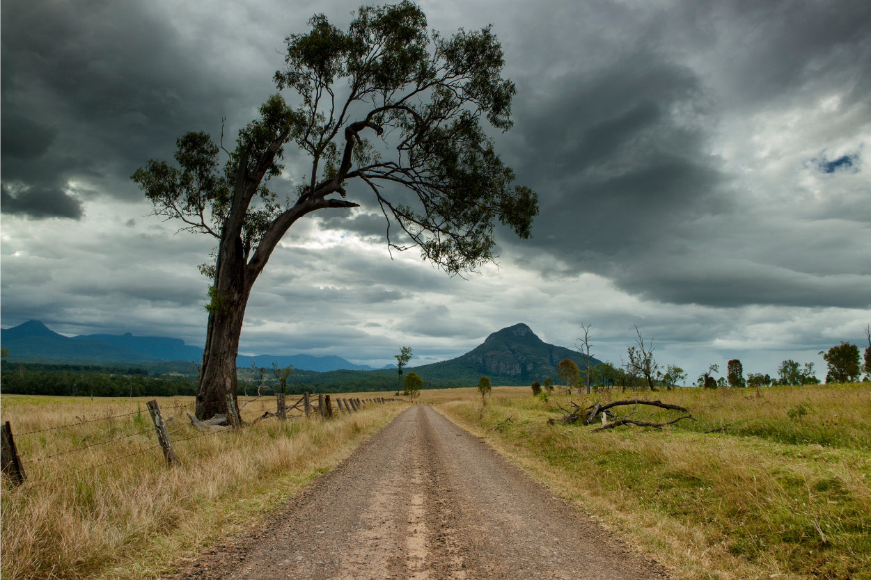 Australian Countryside Stormy Field Wall Art Decor 100% Australian Made