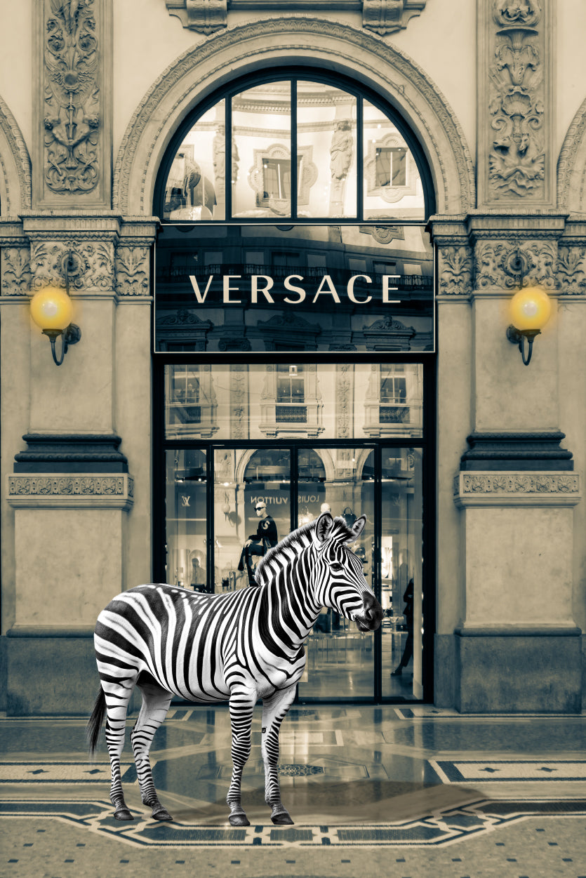 Luxury Fashion Store with Zebra Print 100% Australian Made