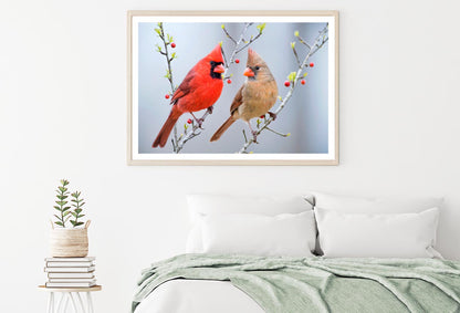 Red Bird or Northern Cardinal Mates Perched on Holly Branches Home Decor Premium Quality Poster Print Choose Your Sizes