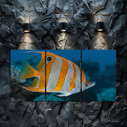 3pcs Beautiful Coral Reef Butterfly Fish Swim Wall Art Set Canvas Framed 40x60cm - High Quality Print 100% Australian Made Wall Canvas Ready to Hang