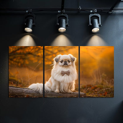 3pcs Pekingese Dog on Log Forest Scene Wall Art Set Canvas Framed 50x70cm - High Quality Print 100% Australian Made Wall Canvas Ready to Hang