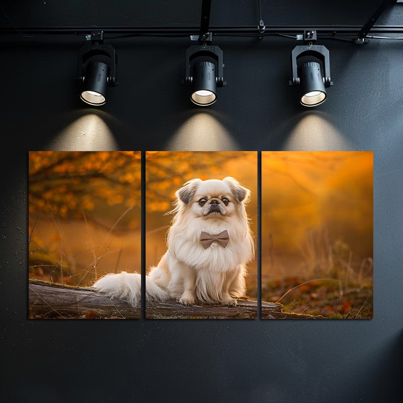 3pcs Pekingese Dog on Log Forest Scene Wall Art Set Canvas Framed 60x90cm - High Quality Print 100% Australian Made Wall Canvas Ready to Hang