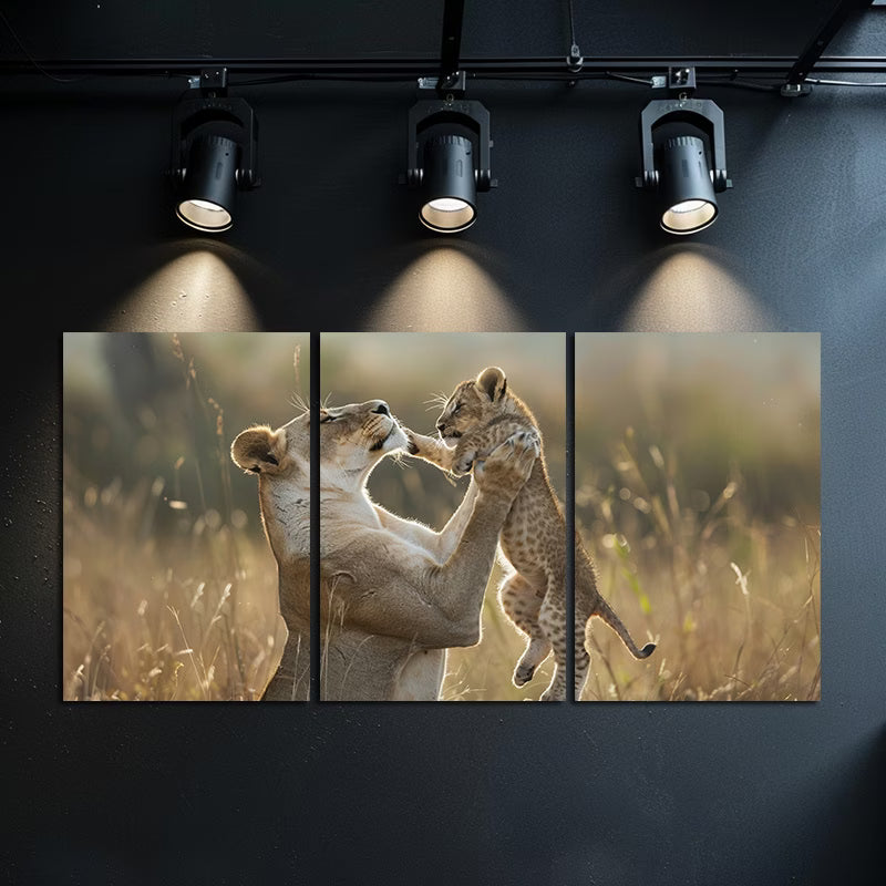 3pcs Lioness and Cub Wildlife Wall Art Set Canvas Framed 50x70cm - High Quality Print 100% Australian Made Wall Canvas Ready to Hang