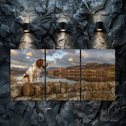 3pcs Irish Springer Spaniel Dog Landscape Wall Art Set Canvas Framed 60x90cm - High Quality Print 100% Australian Made Wall Canvas Ready to Hang
