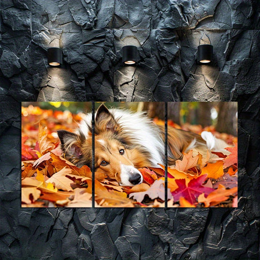 3pcs Shetland Sheepdog in Autumn Leaves Wall Art Set Canvas Framed 50x70cm - High Quality Print 100% Australian Made Wall Canvas Ready to Hang