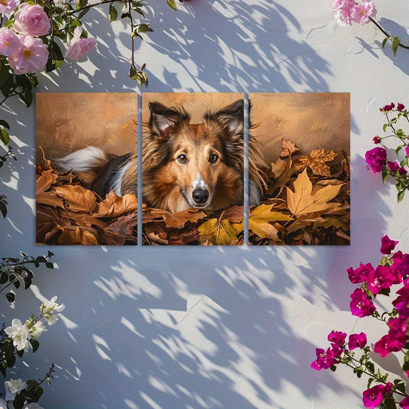 3pcs Shetland Sheepdog & Autumn Leaves Wall Art Set Canvas Framed 50x70cm - High Quality Print 100% Australian Made Wall Canvas Ready to Hang
