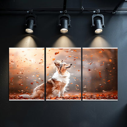 3pcs Shetland Sheepdog in Autumn Leaves Wall Art Set Canvas Framed 60x90cm - High Quality Print 100% Australian Made Wall Canvas Ready to Hang