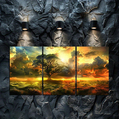 3pcs Tree in The Middle of An Open Field Wall Art Set Canvas Framed 40x60cm - High Quality Print 100% Australian Made Wall Canvas Ready to Hang
