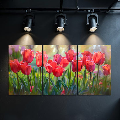 3pcs Vibrant Display of Red Tulips in Full Bloom Wall Art Set Canvas Framed 50x70cm - High Quality Print 100% Australian Made Wall Canvas Ready to Hang