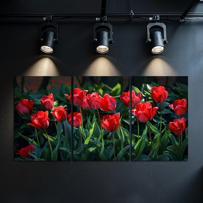 3pcs Vibrant Display of Red Tulips in Full Bloom Wall Art Set Canvas Framed 60x90cm - High Quality Print 100% Australian Made Wall Canvas Ready to Hang