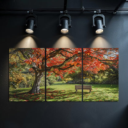 3pcs Vibrant Autumn Red Maple Tree Wall Art Set Canvas Framed 60x90cm - High Quality Print 100% Australian Made Wall Canvas Ready to Hang