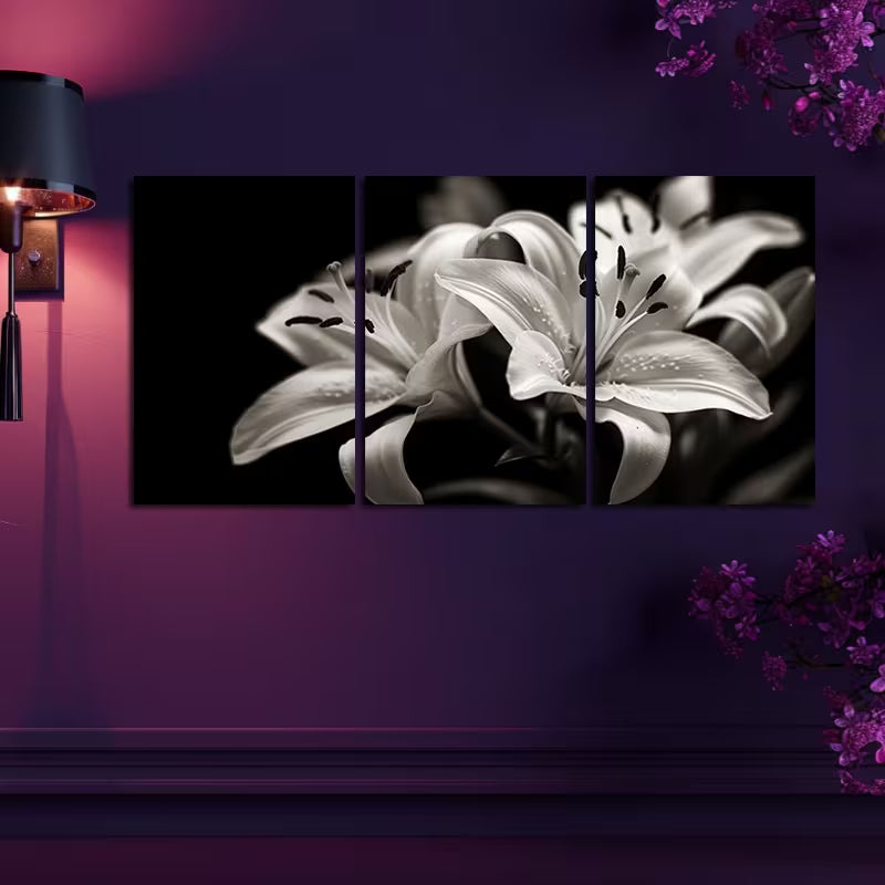 3pcs Black & White Photography of Lilies Wall Art Set Canvas Framed 60x90cm - High Quality Print 100% Australian Made Wall Canvas Ready to Hang