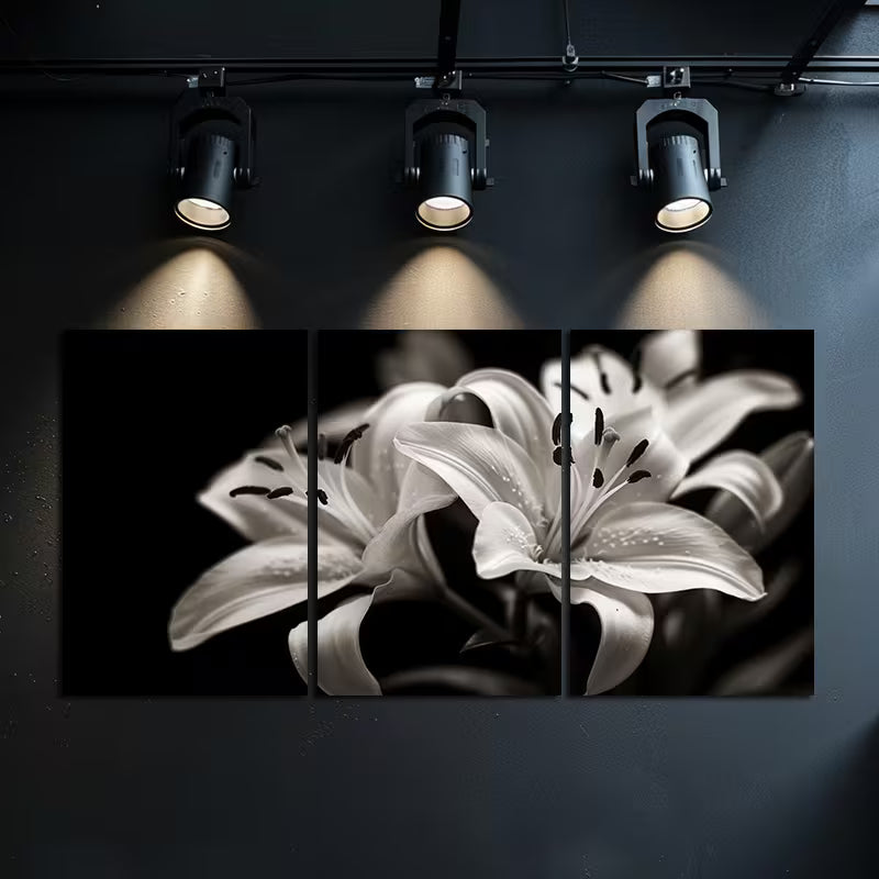 3pcs Black & White Photography of Lilies Wall Art Set Canvas Framed 40x60cm - High Quality Print 100% Australian Made Wall Canvas Ready to Hang