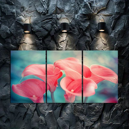 3pcs Close-up of Calla Lilies with Pink Petals Wall Art Set Canvas Framed 50x70cm - High Quality Print 100% Australian Made Wall Canvas Ready to Hang