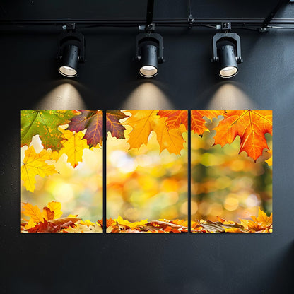 3pcs Autumn Leaves Vibrant Fall Foliage Wall Art Set Canvas Framed 40x60cm - High Quality Print 100% Australian Made Wall Canvas Ready to Hang