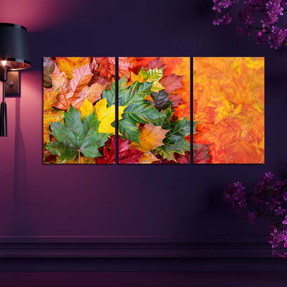 3pcs Vibrant Autumn Leaves in Different Shades Wall Art Set Canvas Framed 50x70cm - High Quality Print 100% Australian Made Wall Canvas Ready to Hang